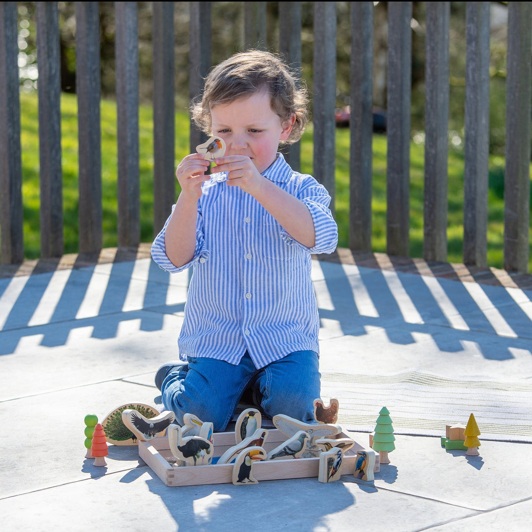 Wooden Bird Blocks