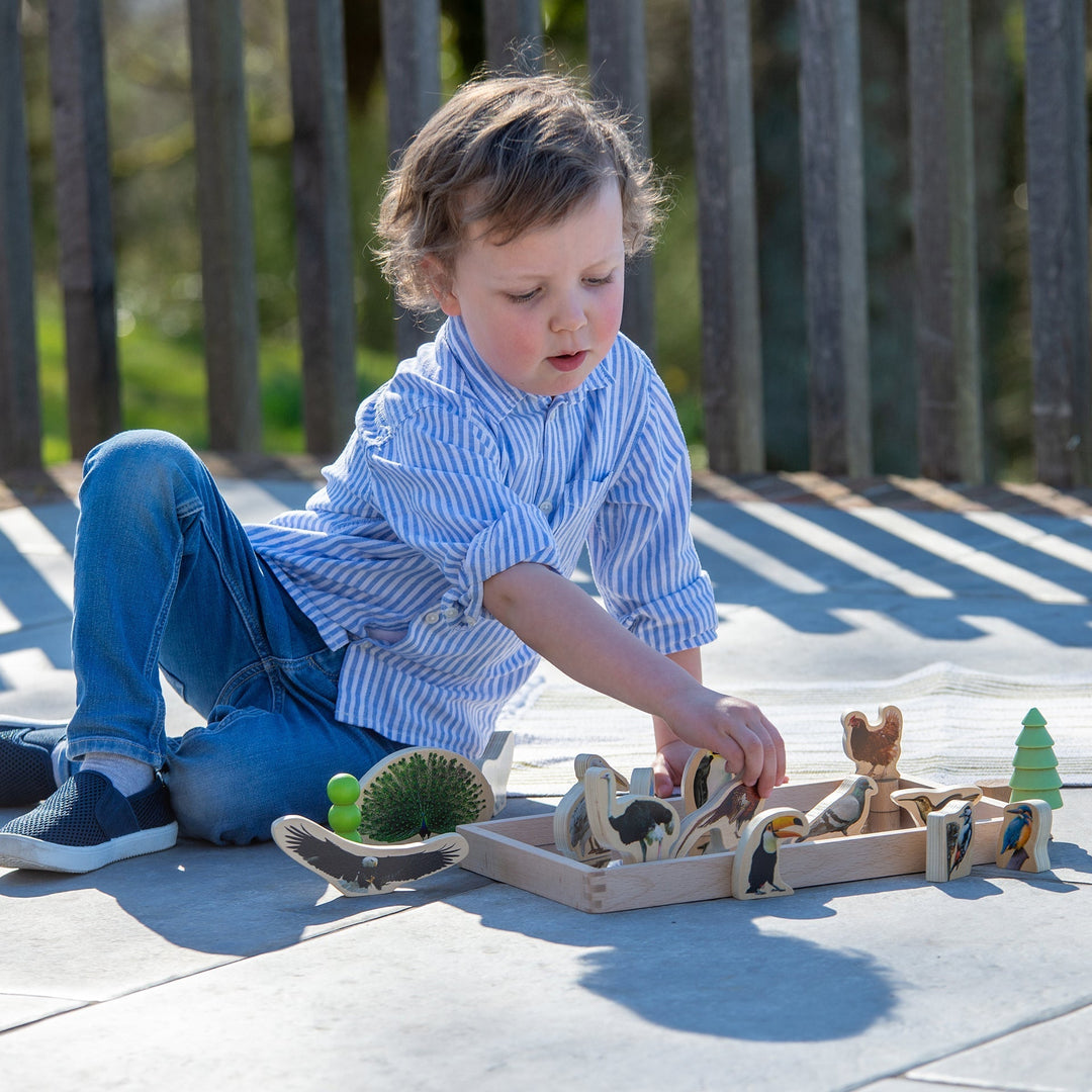 Wooden Bird Blocks
