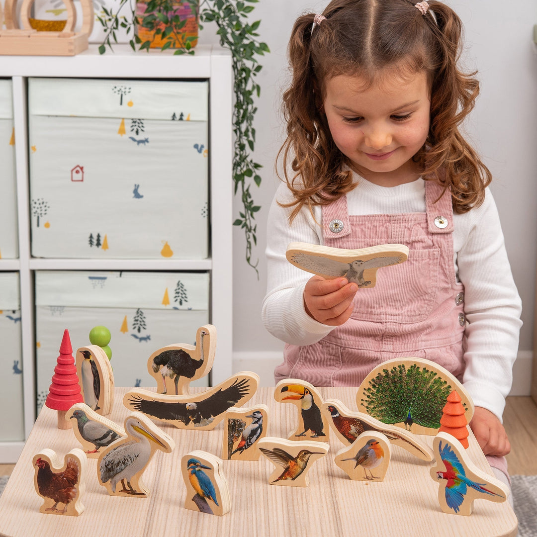 Wooden Bird Blocks
