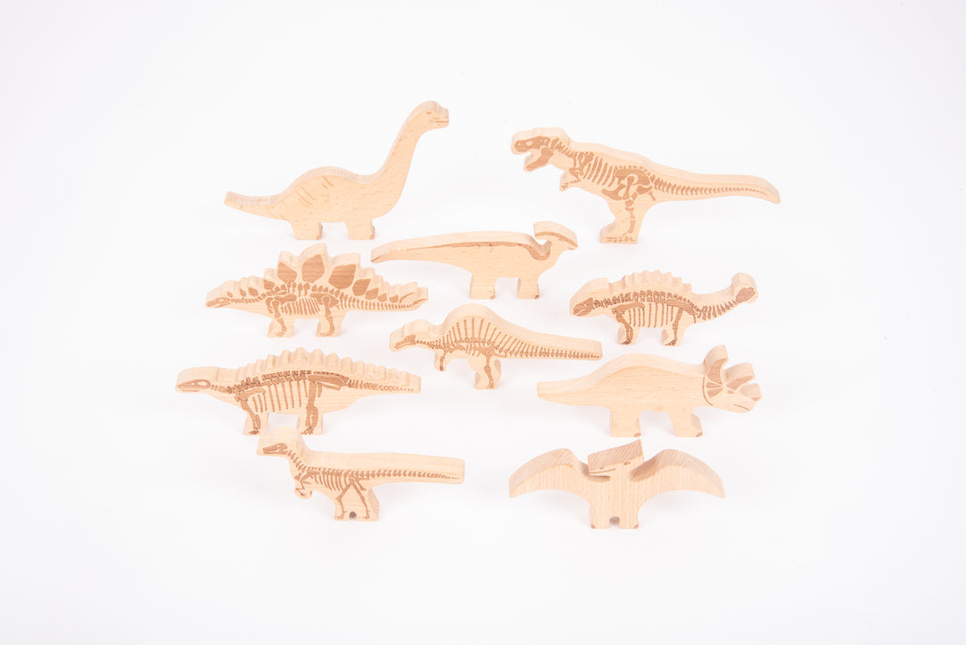 Discovery Jurassic Sensory Light Bundle