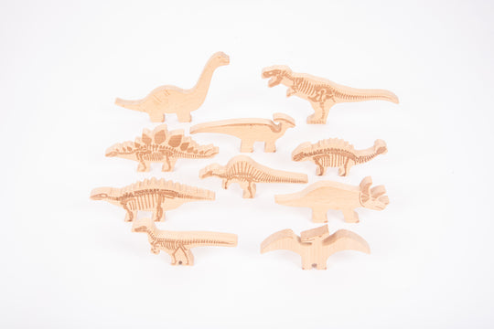 Discovery Jurassic Sensory Light Bundle