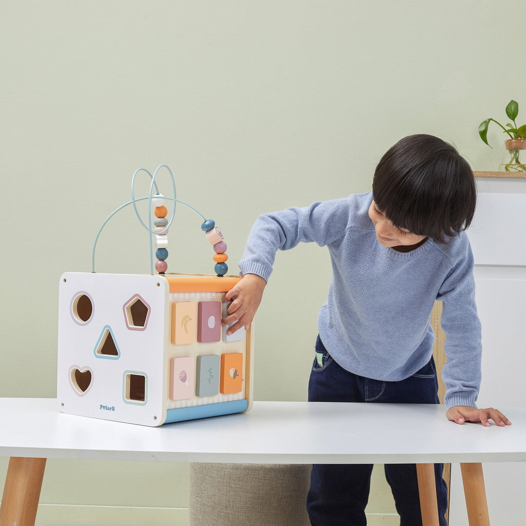 8 in 1 Activity Cube