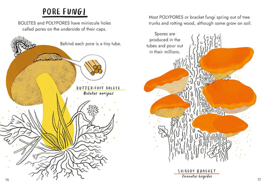 Hello Fungi: A Little Guide To Nature