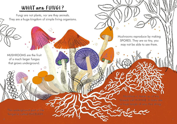 Hello Fungi: A Little Guide To Nature