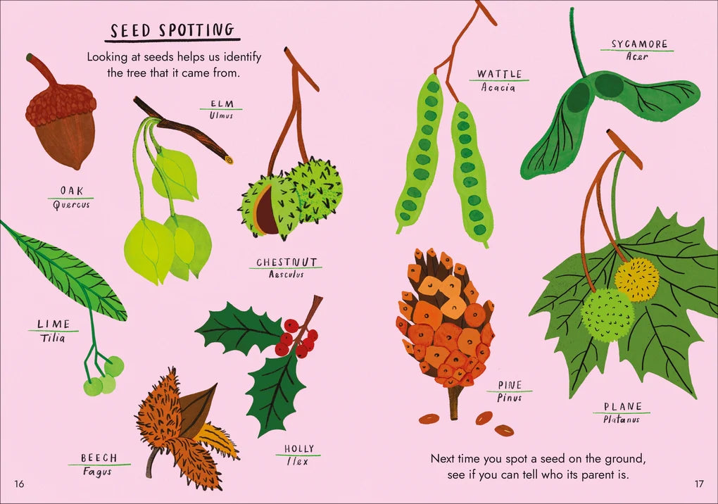 Hello Trees: A Little Guide To Nature