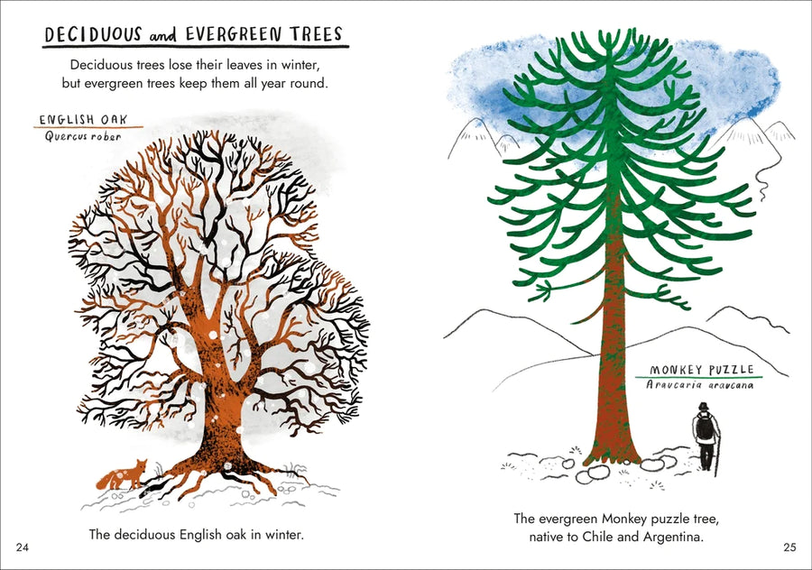 Hello Trees: A Little Guide To Nature - Moo Like a Monkey