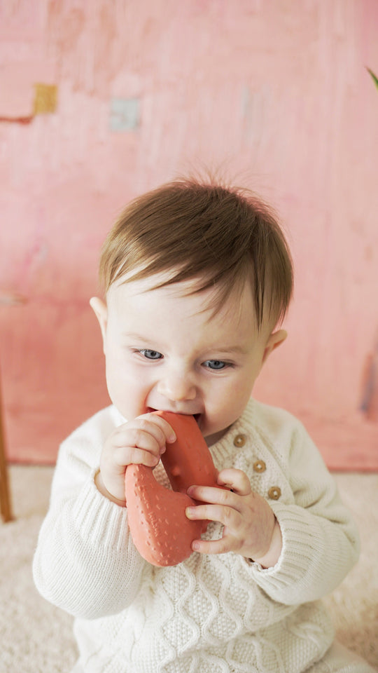 Oli & Carol x Donna Wilson Cyril Squirrel Fox Teether