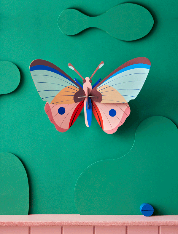 Studio Roof Wall Decoration | Giant Cattleheart Butterfly