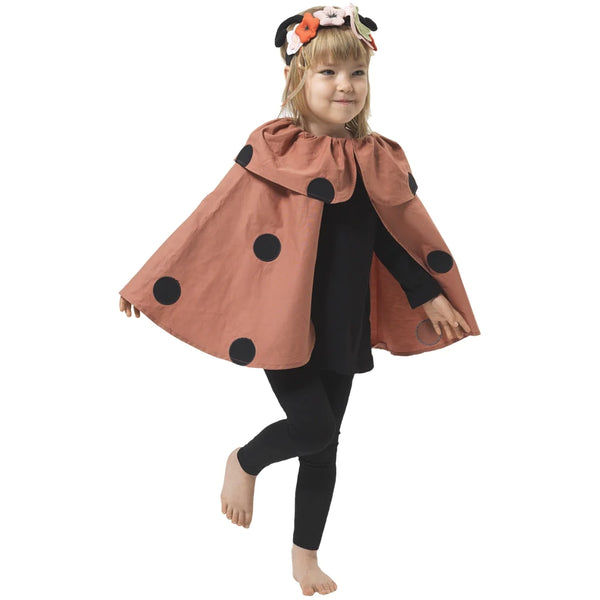 Dress Up | Ladybird Costume