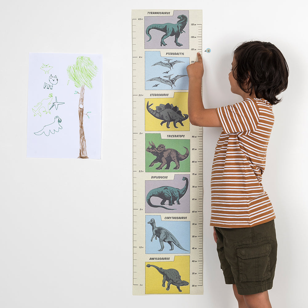 Height Chart | Prehistoric Land