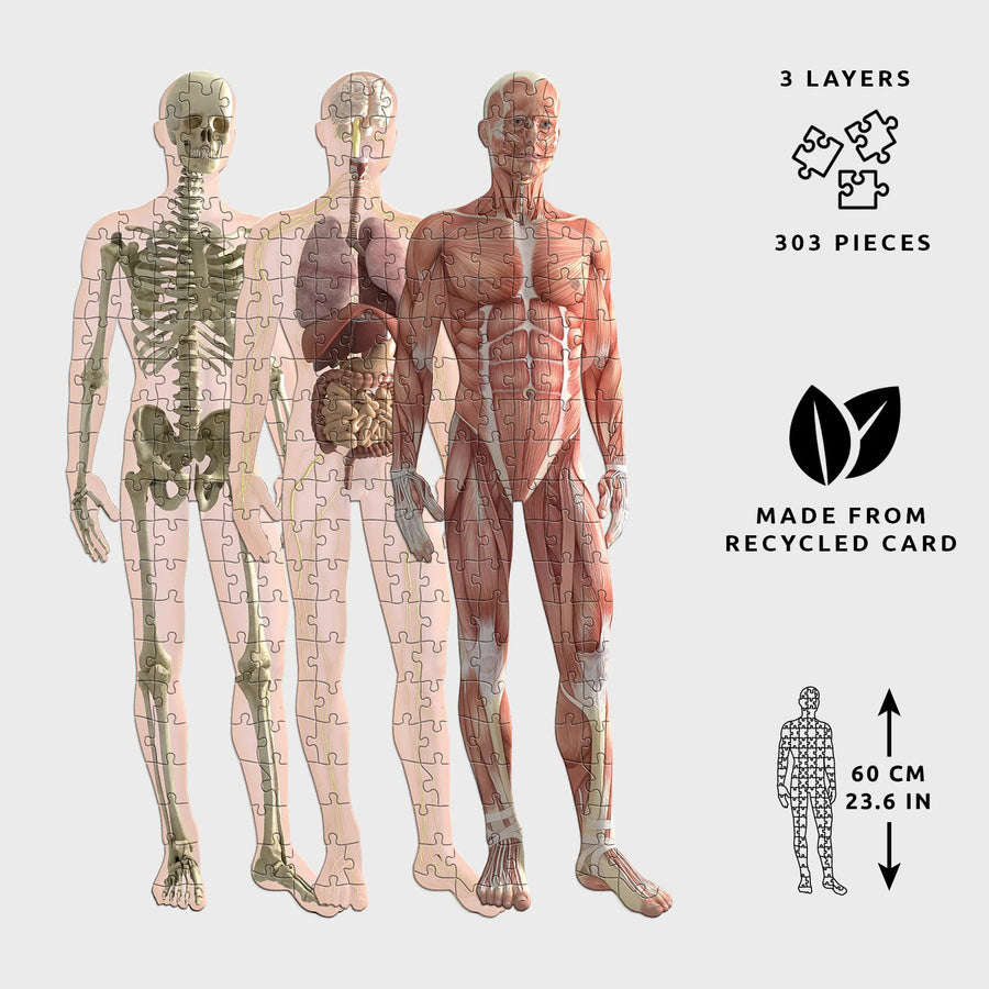 Human Anatomy Puzzle - Moo Like a Monkey