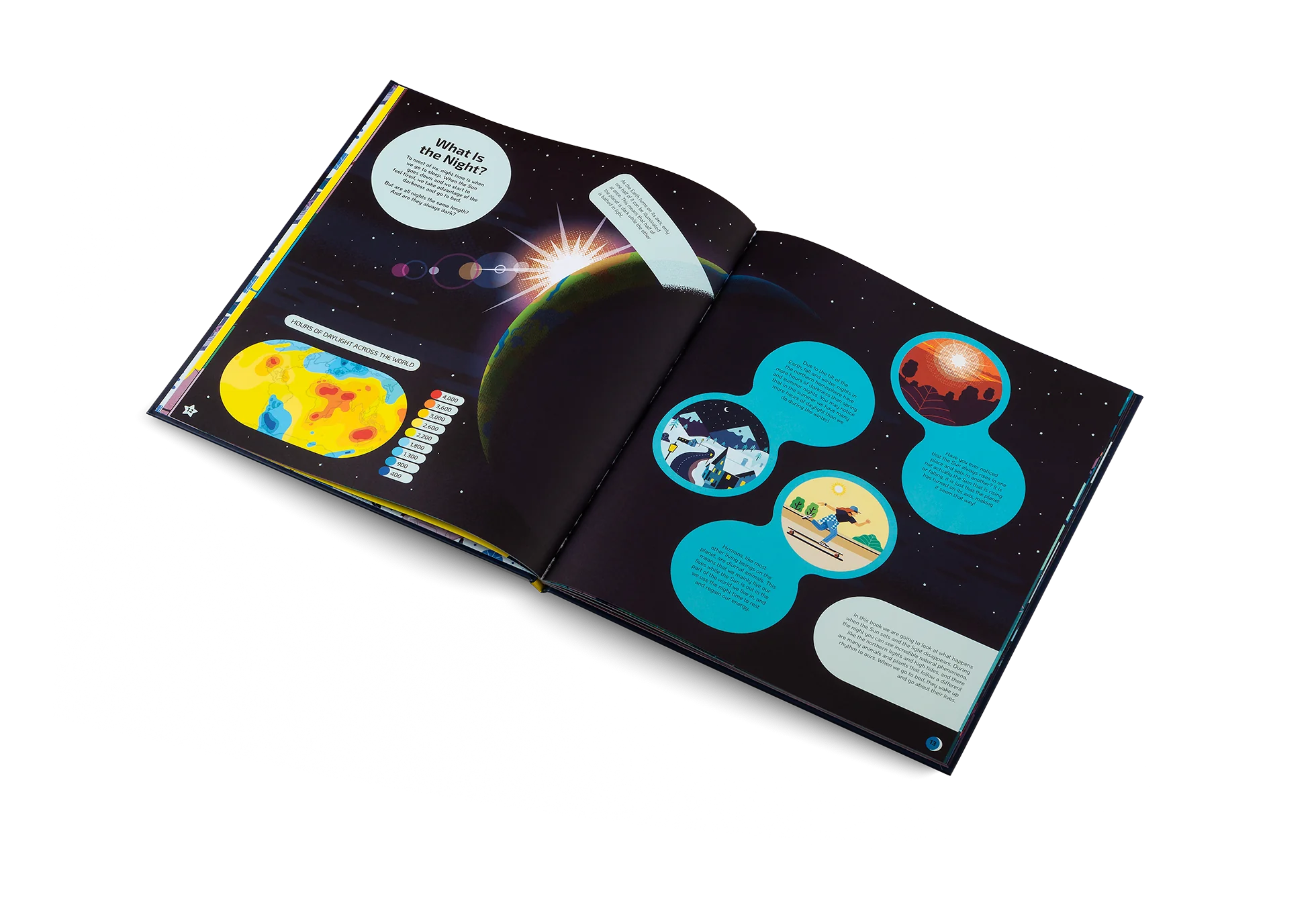 The Secret Lives of Nocturnal Animals: What Happens After Dark? - Featured Image