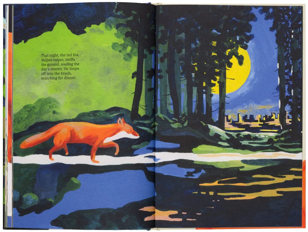 The Path: A Story About Finding Your Way