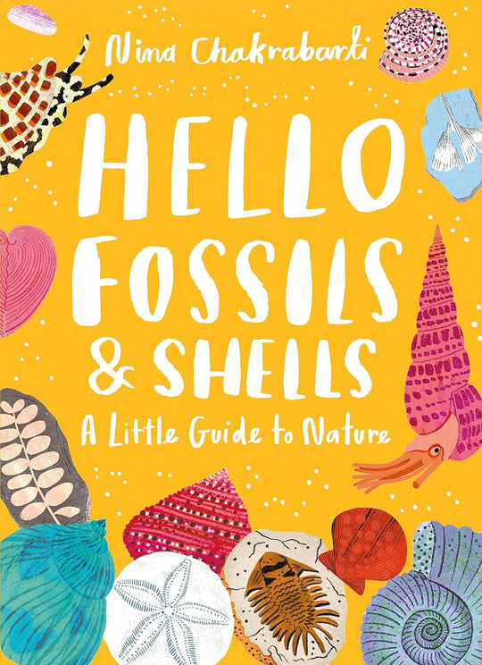 Hello Fossils & Shells: A Little Guide To Nature