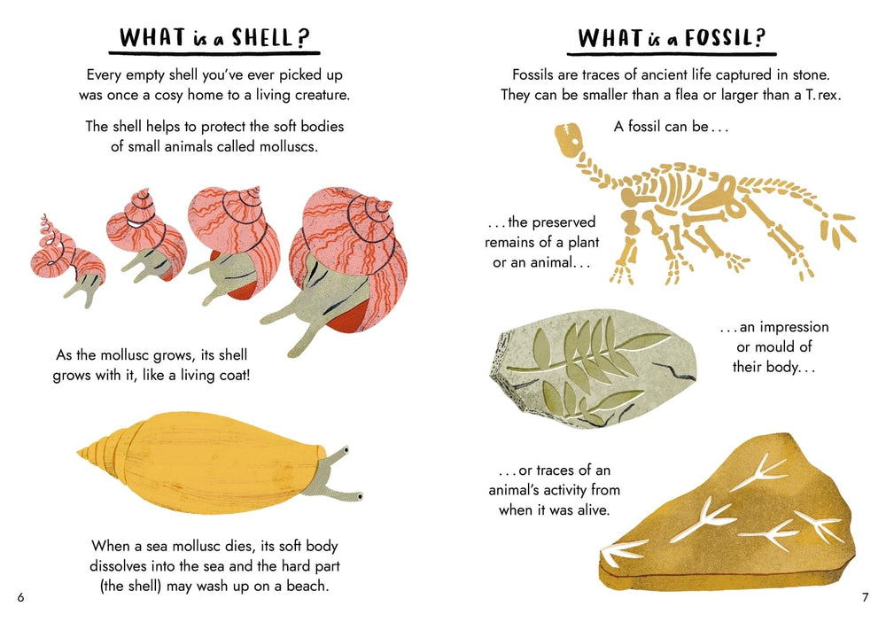 Hello Fossils & Shells: A Little Guide To Nature