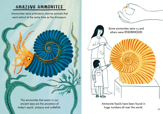 Hello Fossils & Shells: A Little Guide To Nature