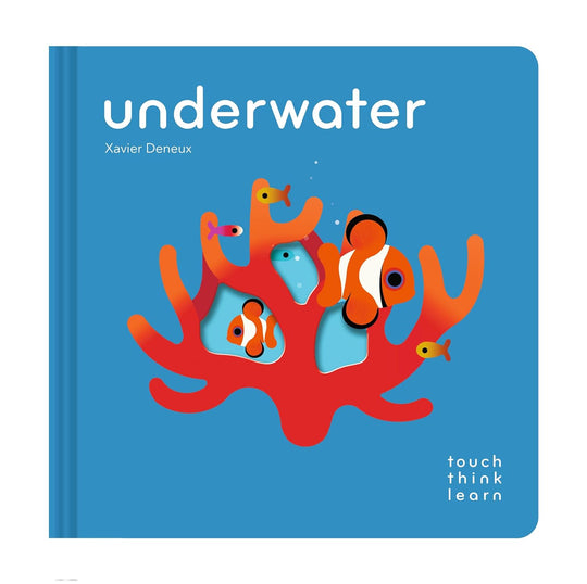 Touch Think Learn - Underwater