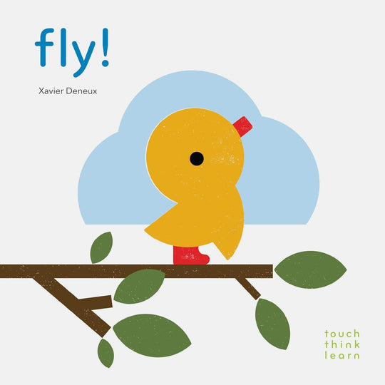 Touch Think Learn - Fly!