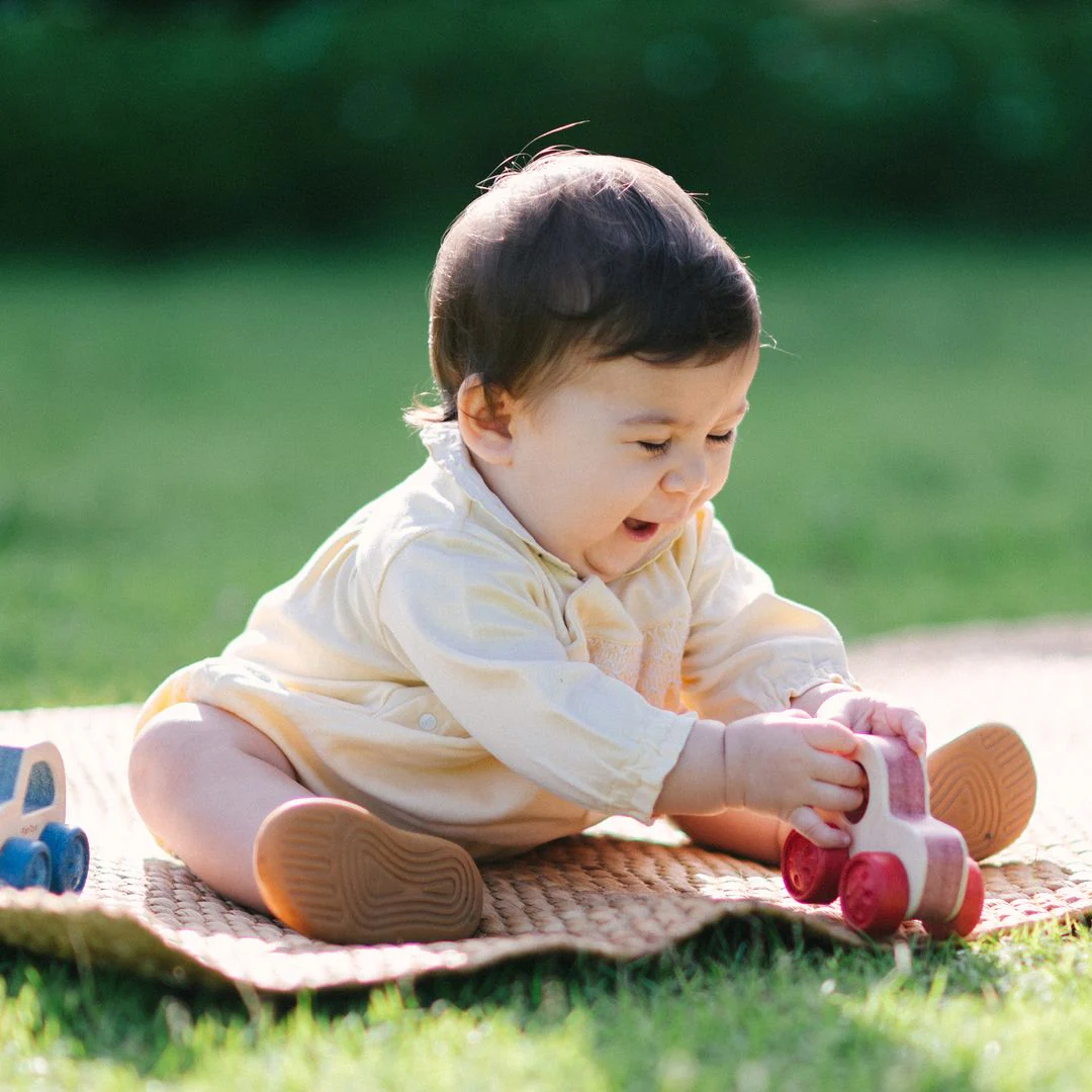 PlanToys Timber Trail Cruiser