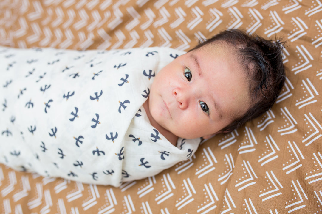 2 Pack Cotton Swaddles - Blackbird / Mudcloth