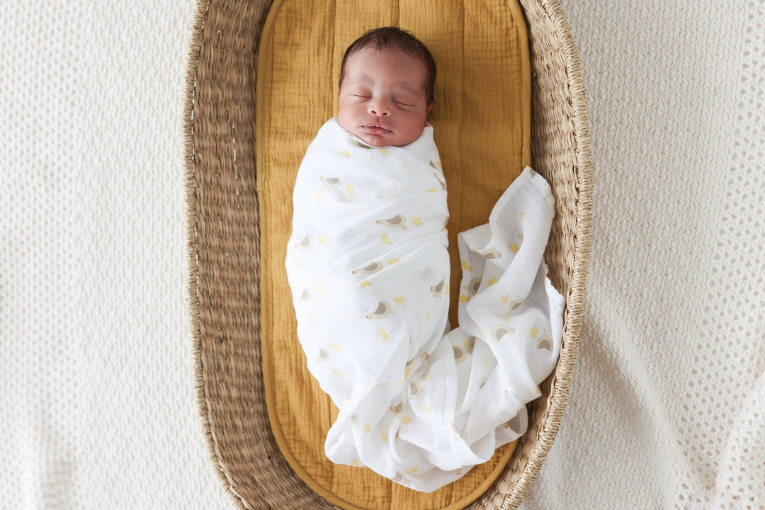 2 Pack Cotton Swaddles - Barnyard / Hens & Chicks