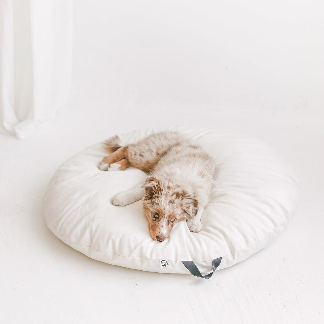 Dog lying on round white floor cushion