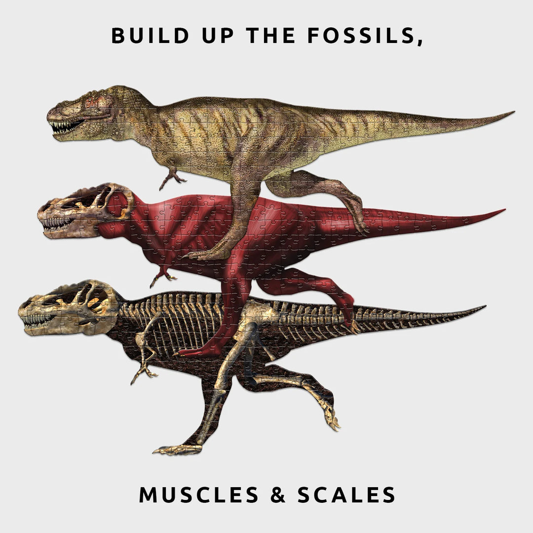 Three-Layered Puzzle | T-Rex Anatomy