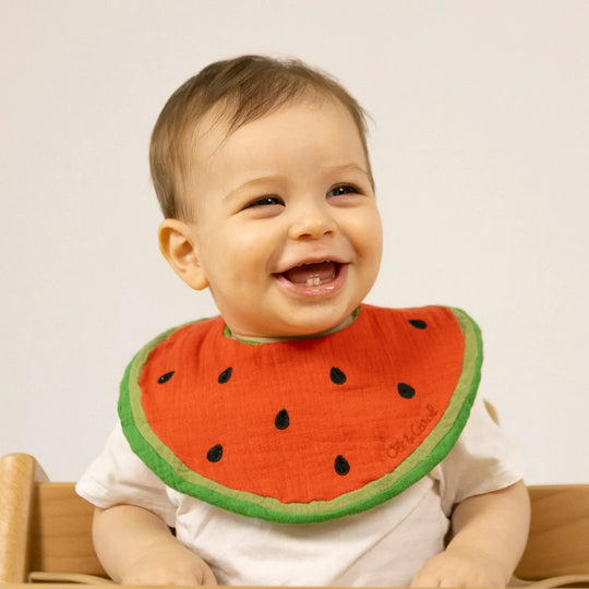 Oli&Carol Wally the Watermelon Feeding Bib