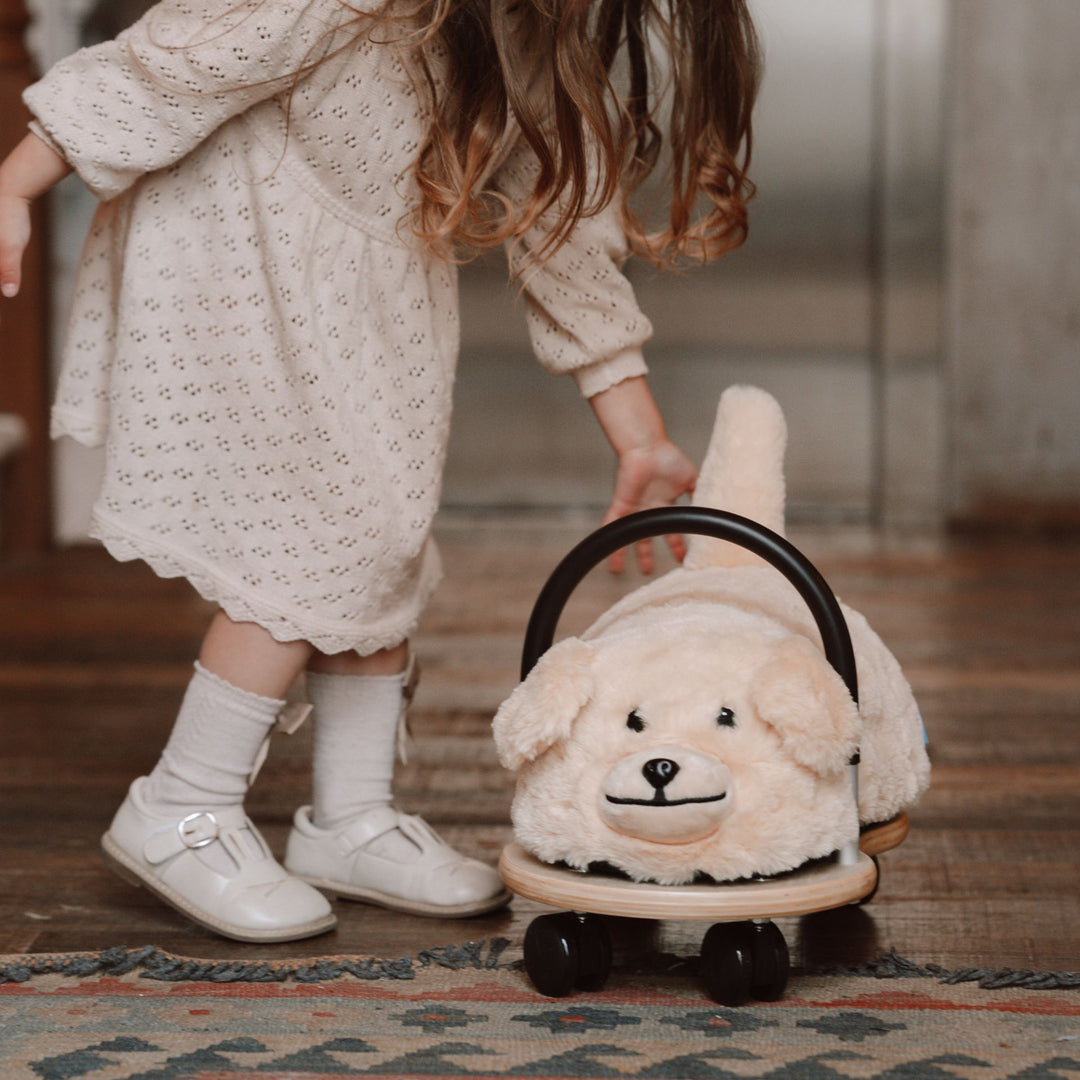 Plush Wheely Bug Ride-On - Dog | Small 1-3 years