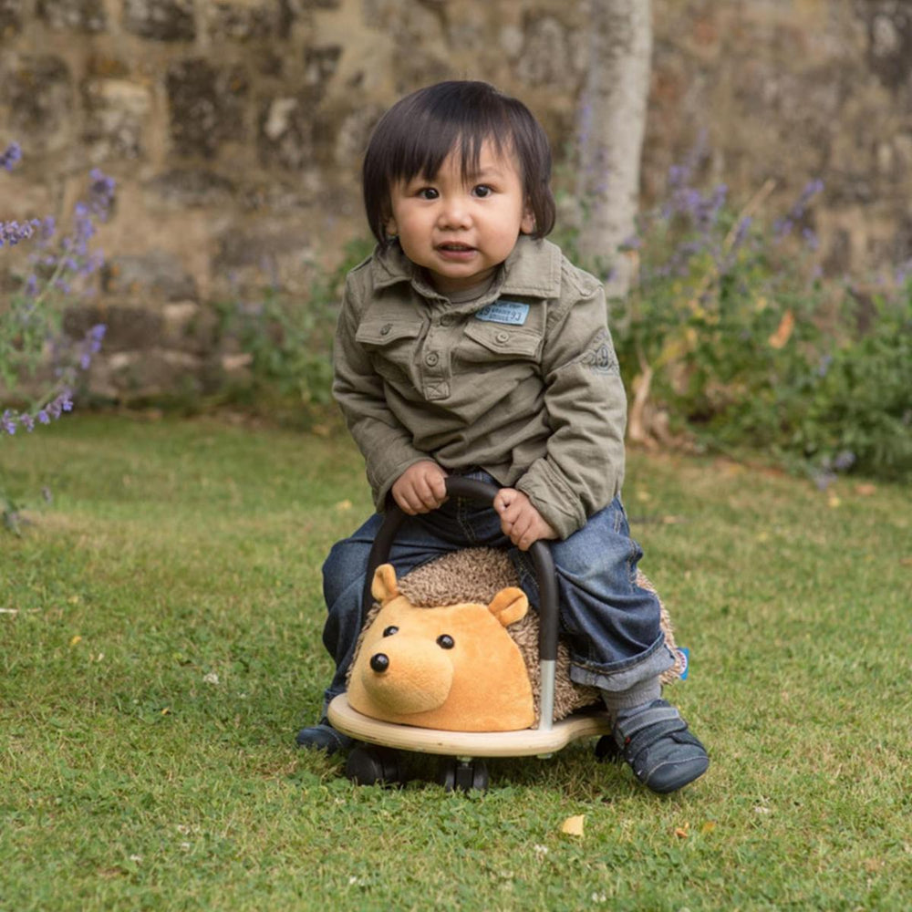 Plush Wheely Bug Ride-On - Hedgehog | Small 1-3 years