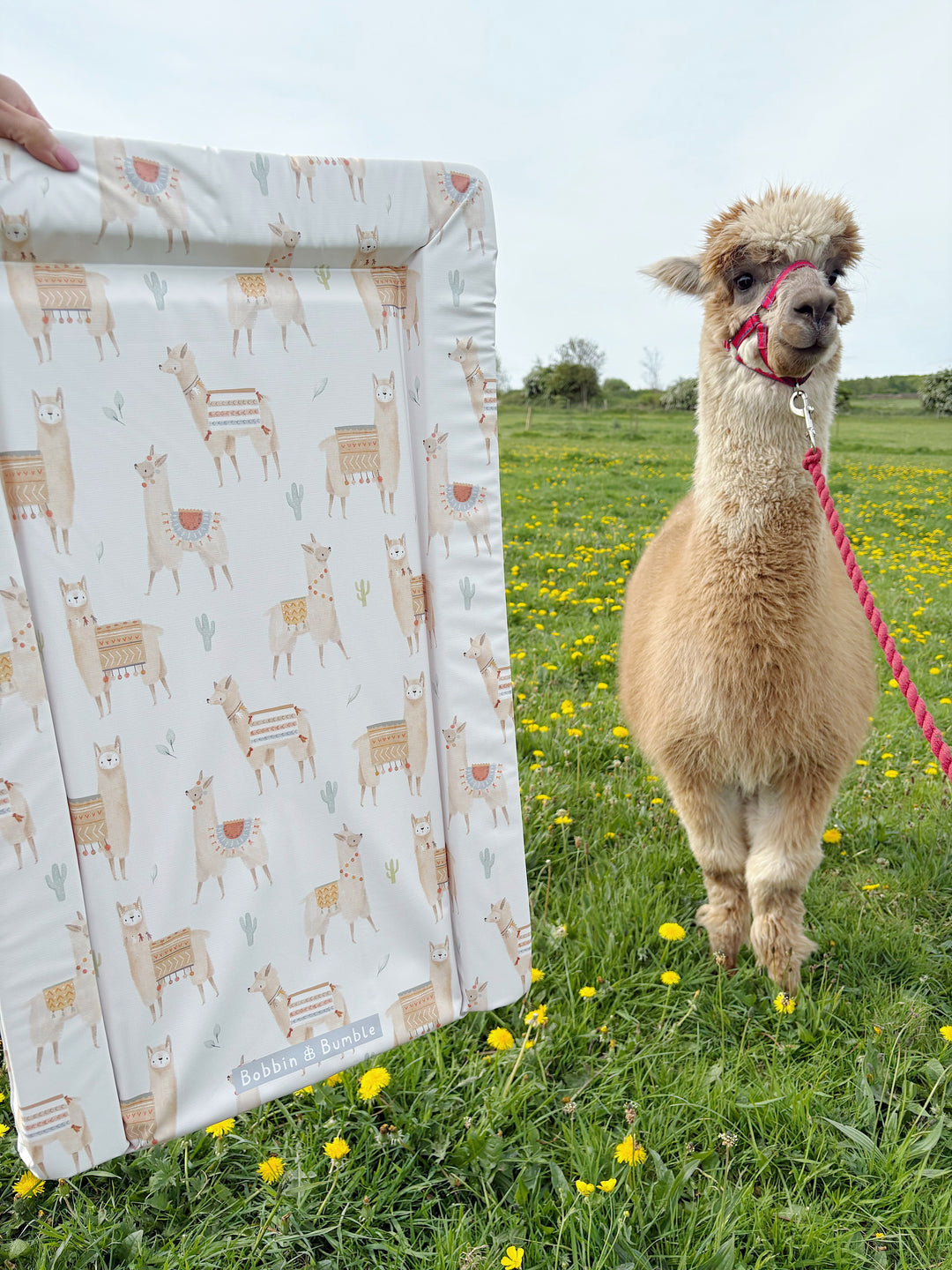 Changing Mat - Alpacas