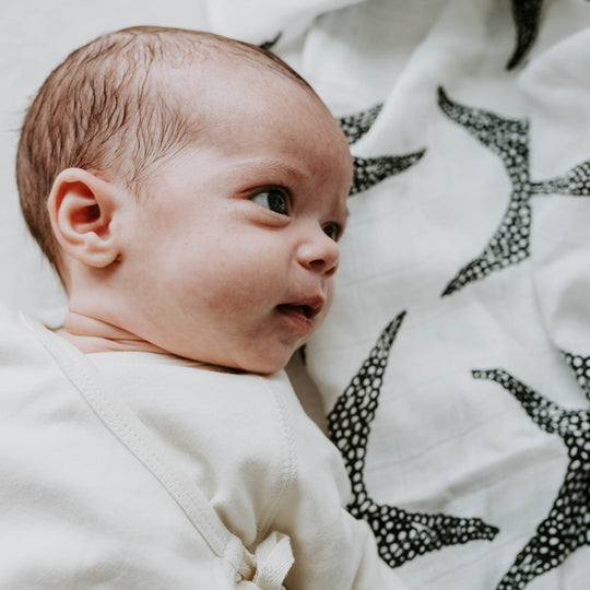 Animal Print Muslin 3-Pack