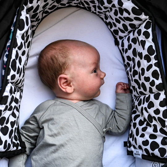 Animal Print Sensory Strip