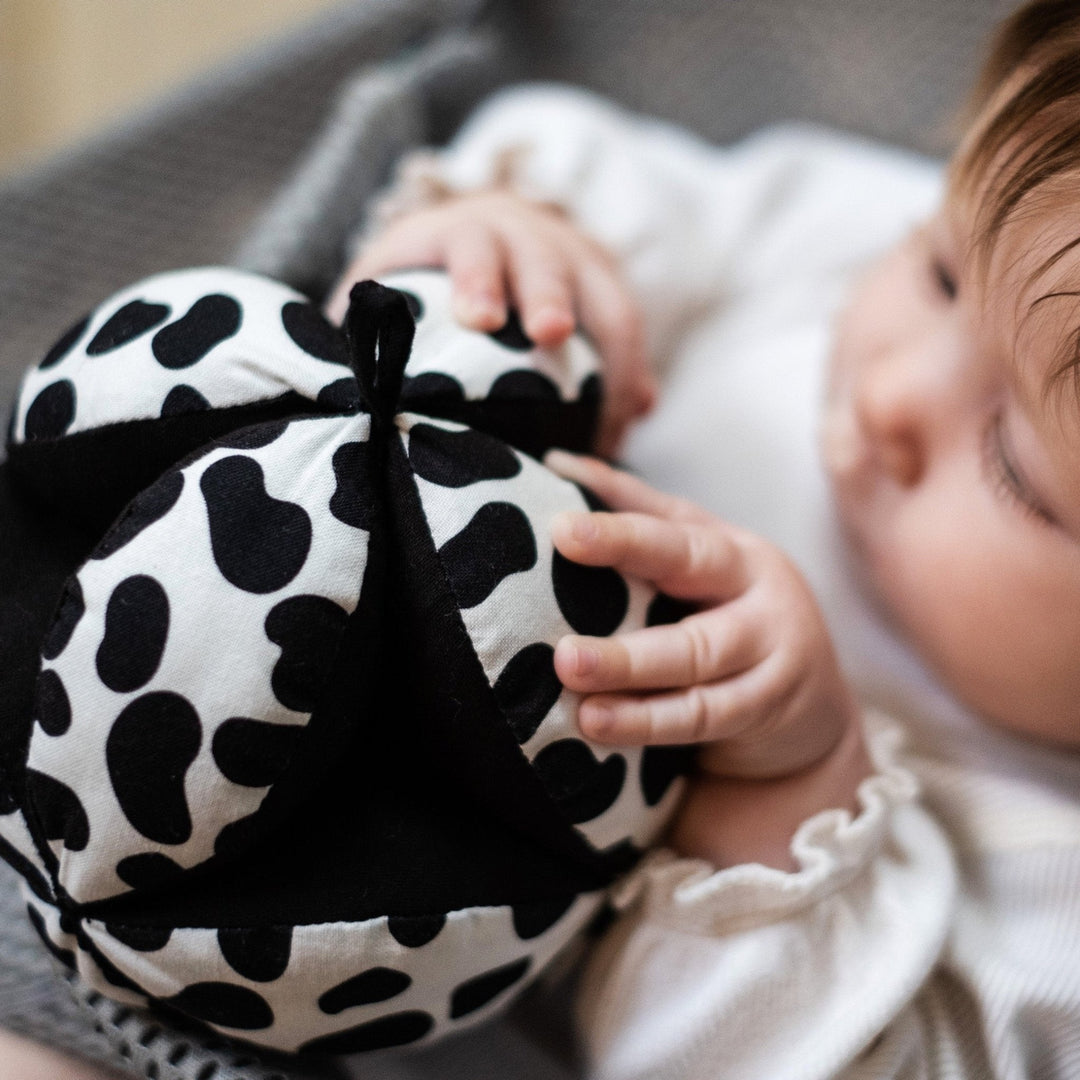 Sensory Grasp Ball