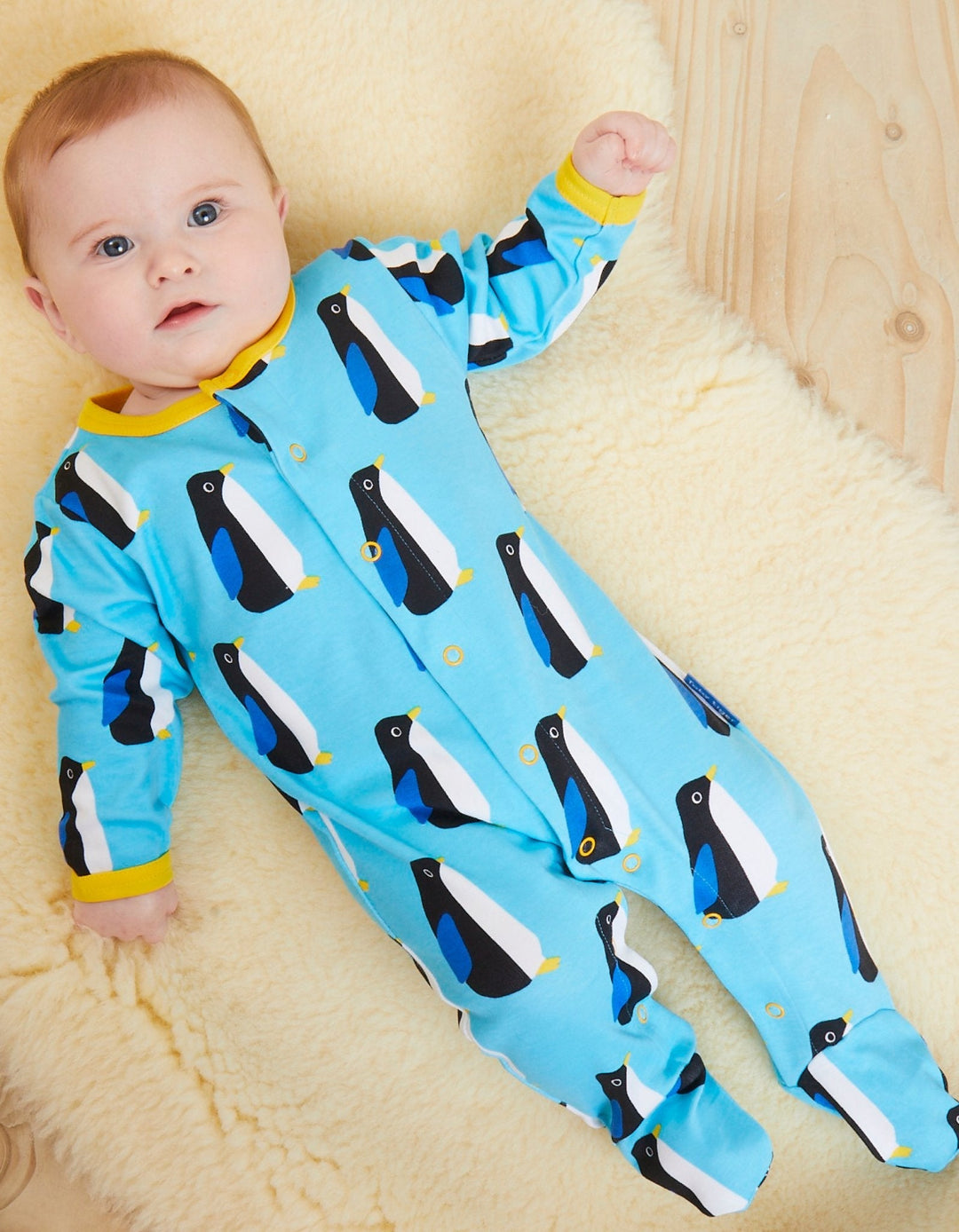 Organic Penguin Print Baby Gift Set
