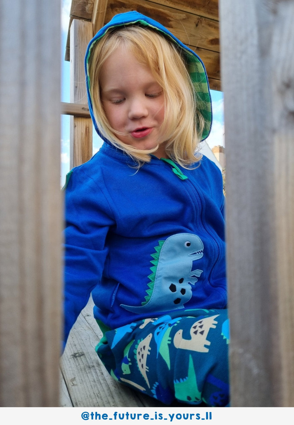 Organic Tonal Dinosaur Applique Hoodie