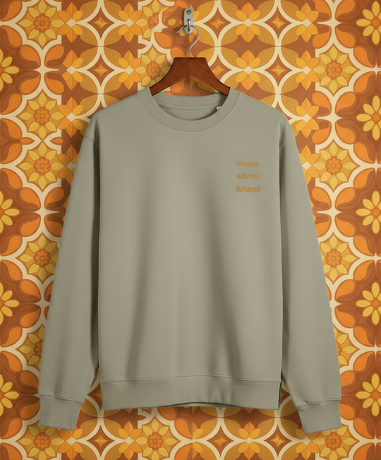 Beige sweatshirt on a hanger against a patterned orange and yellow wall.