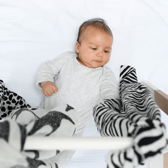 Animal Print Muslin 3-Pack