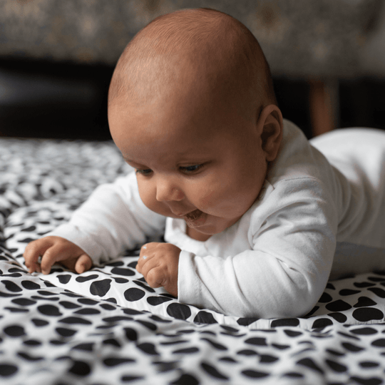 Animal Print Playmat