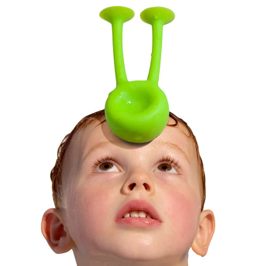 MOLUK Oogi - Bongo