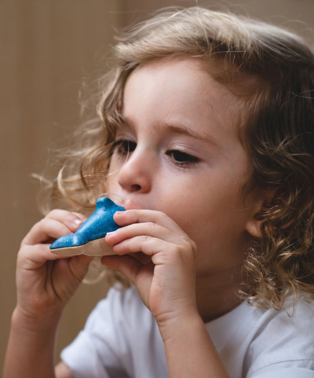 Plan Toys | Dolphin Whistle