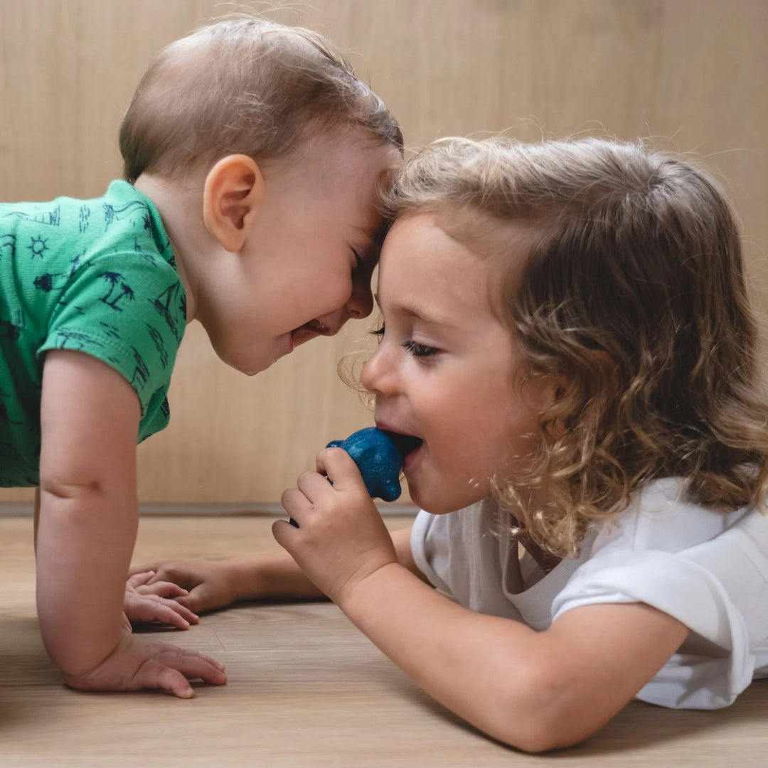 Plan Toys | Dolphin Whistle