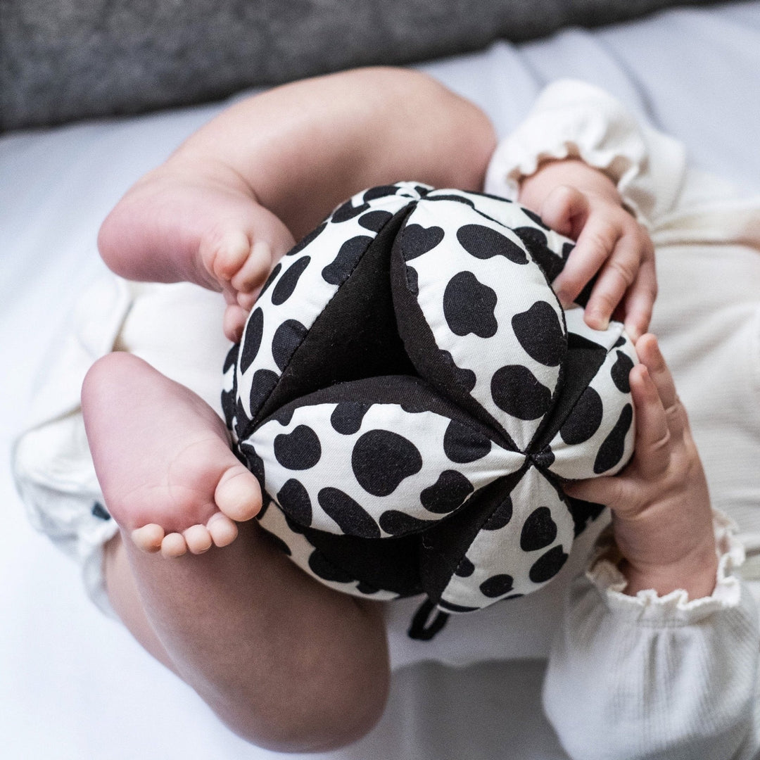 Sensory Grasp Ball