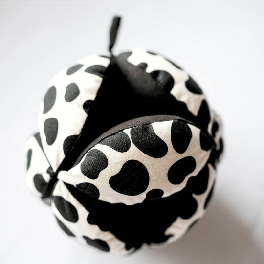 Sensory Grasp Ball