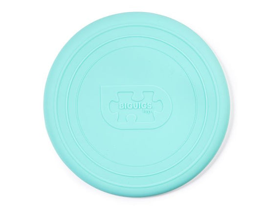Silicone Flexible Foldable Flyers
