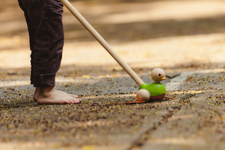 Plan Toys | Push Along Duck - Moo Like a Monkey