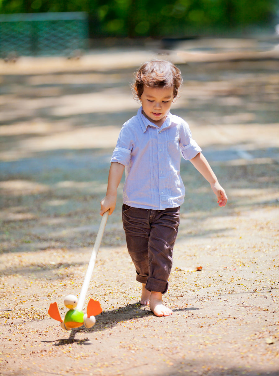 Plan Toys | Push Along Duck - Moo Like a Monkey
