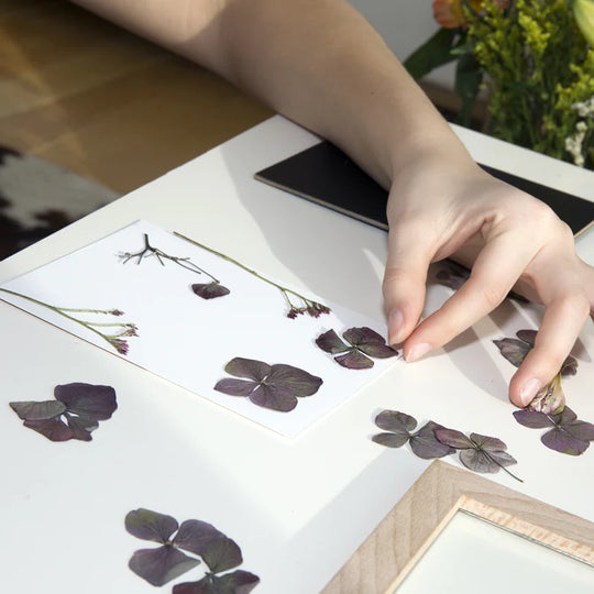 Huckleberry | Pressed Flower Frame
