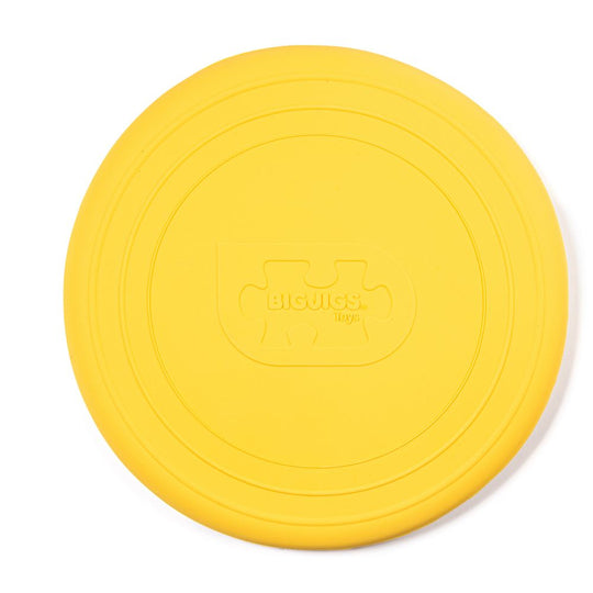 Silicone Flexible Foldable Flyers