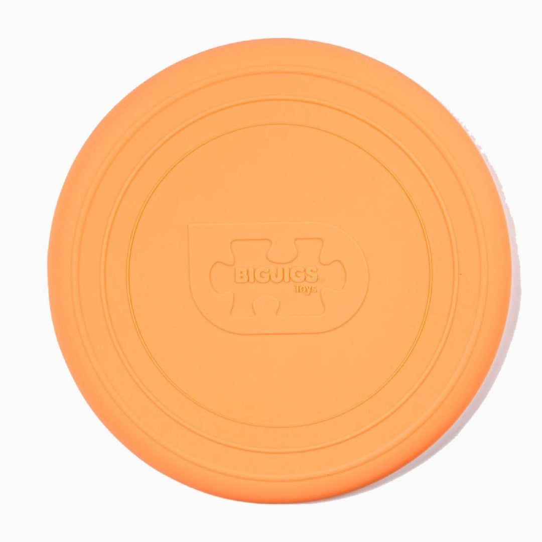 Silicone Flexible Foldable Flyers